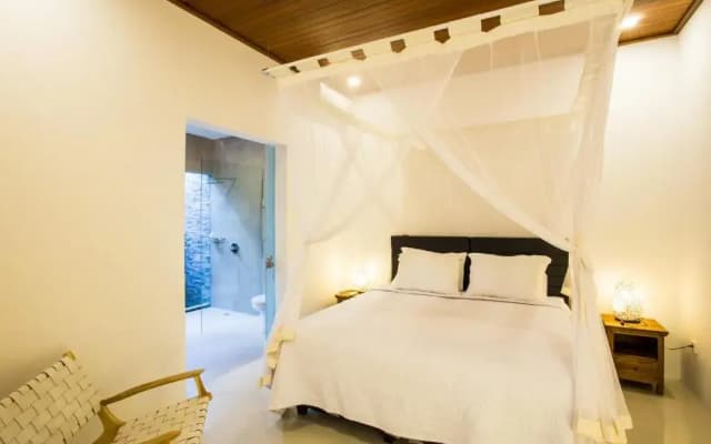 Deluxe Kamboja Villa - photo 3