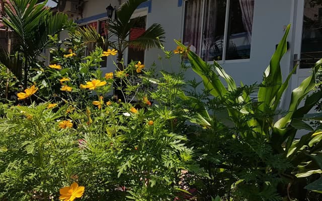 Be Home Hostel 2 - photo 3