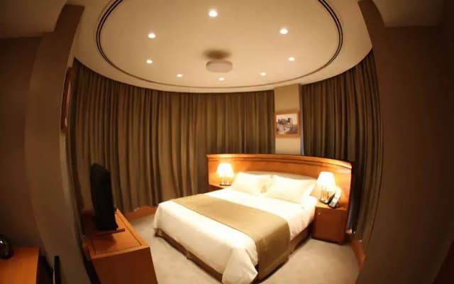 Wiseman Grand Hotel - photo 3