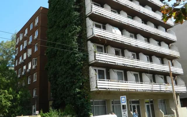 Young Center - photo 4