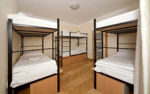 Hostel Mango - photo 4