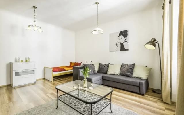 Apartments Melantrichova - photo 5