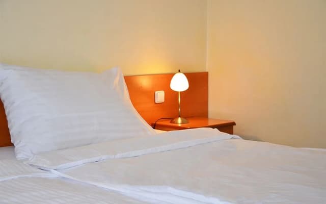 Albionette Hotel - photo 4