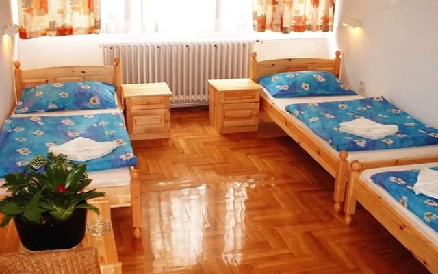 Hotel Rila Budapest - photo 5