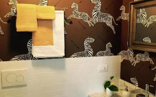 Zebra Rosso - photo 4