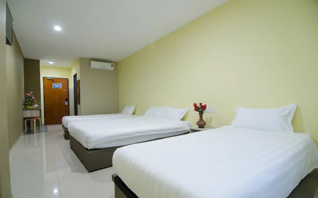 Hotel Raja Bot - photo 3