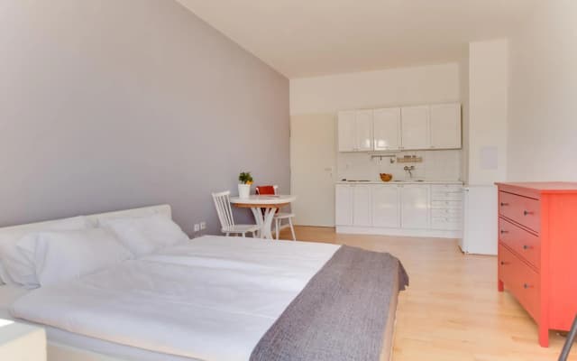 JT's Apartments Opletalova str. - photo 4