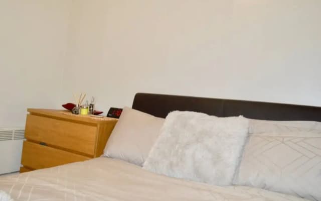 Modern Open-plan Leith Flat - photo 2