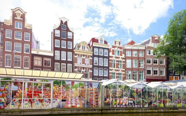 The Bridge - photo 2