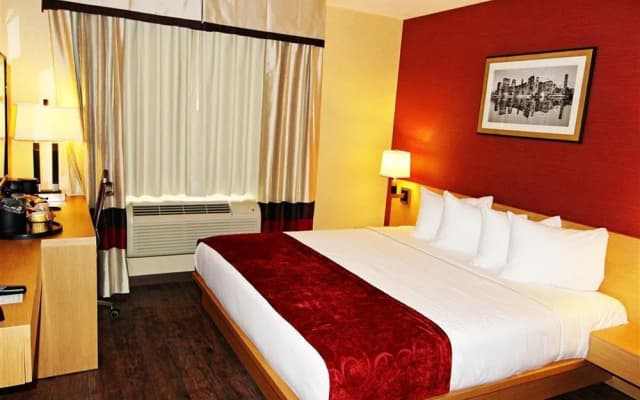Hotel Lynx - photo 5