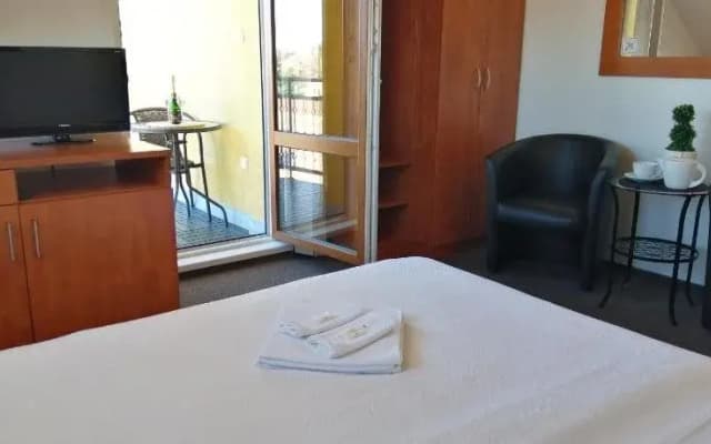 Pension Paldus - photo 4