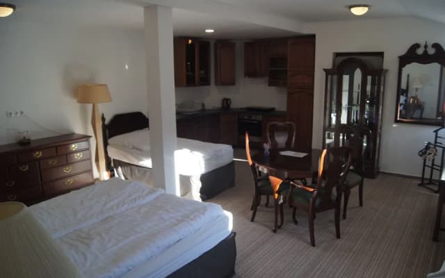 Opera Loft Apartments - photo 3
