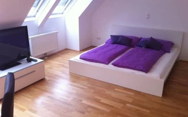 welcome2vienna Mariannengasse - photo 3