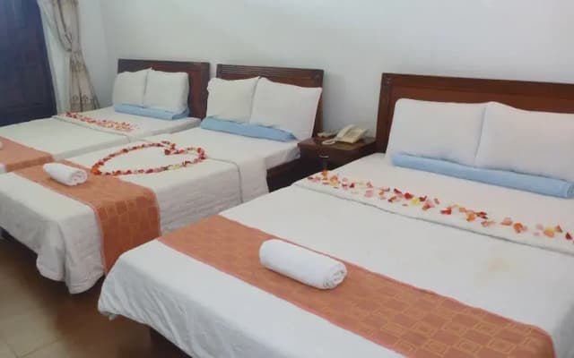 Bien Viet Hotel - photo 5
