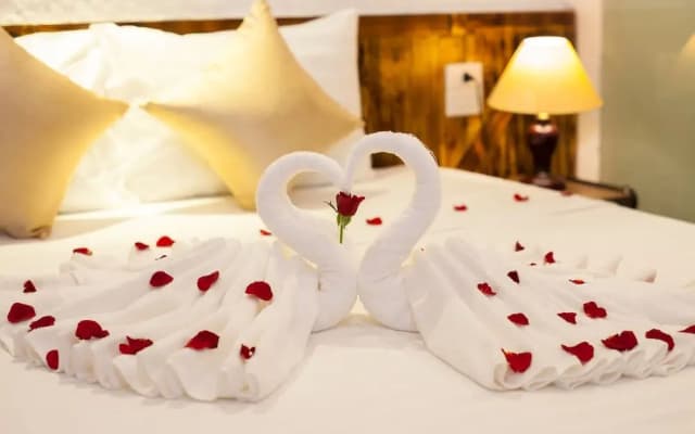 Luxury Backpakers Hotel - photo 4