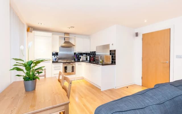 Modern Two Bedroom Apartment - photo 3