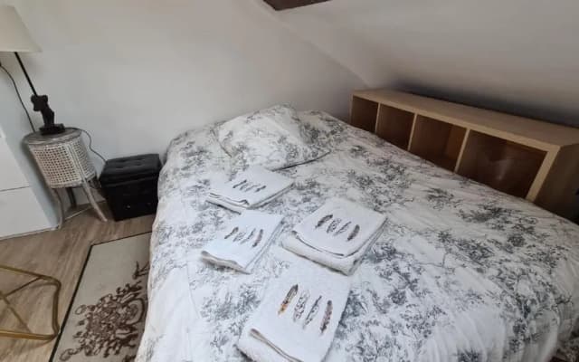 Appartement Cœur de Paris avec vue sur les toits - photo 4