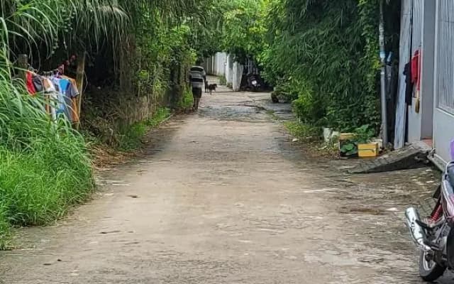 Davi hostel - photo 4