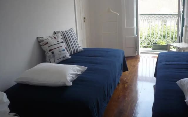 Olival 178 - photo 4