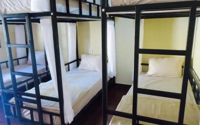 Inn Between Hostel - photo 3