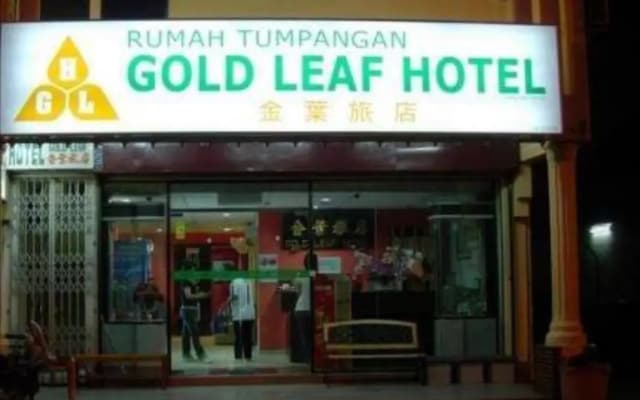 Gold Leaf Hotel - photo 4