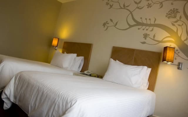 The 5 Elements Hotel - photo 4