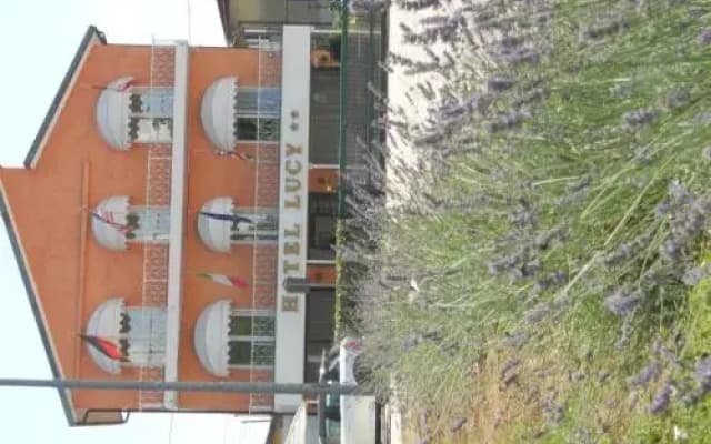 Hotel Lucy - photo 2