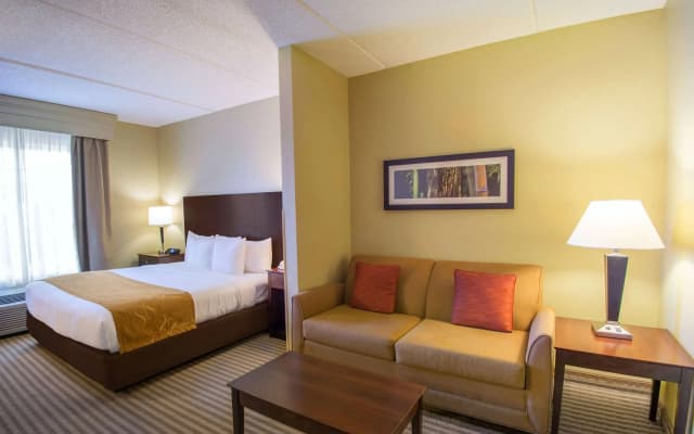 Comfort Suites Near Universal Orlando Resort - photo 3