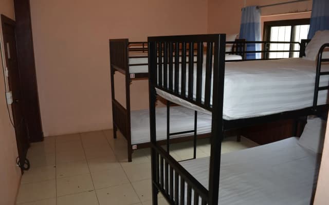 Little Austria Tams Guesthouse - photo 5