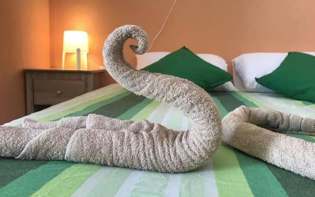 Ocean Vibes Guesthouse - photo 4