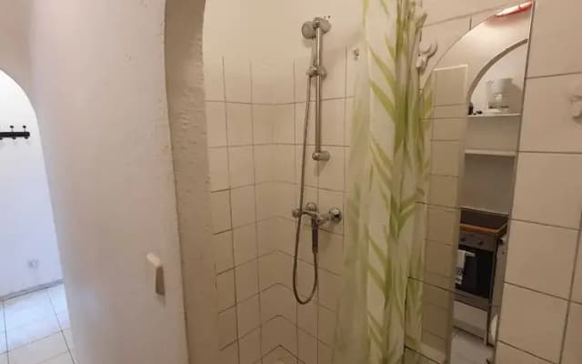 Modern 2BR Apt Downtown Long Stay - photo 5