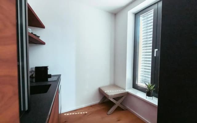 Triangle City Apartment - photo 4