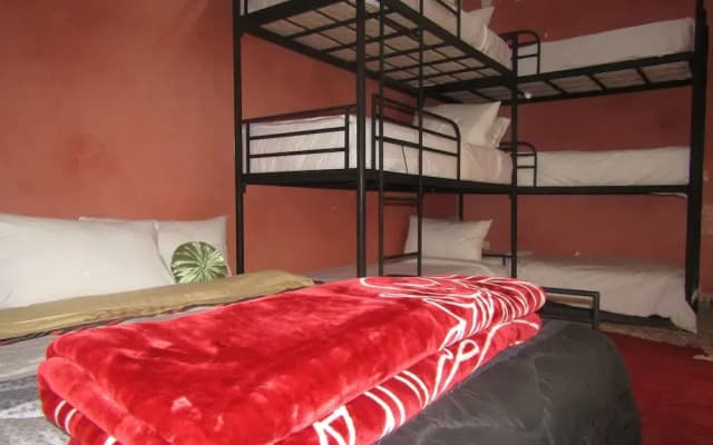 Riad Friends - photo 5