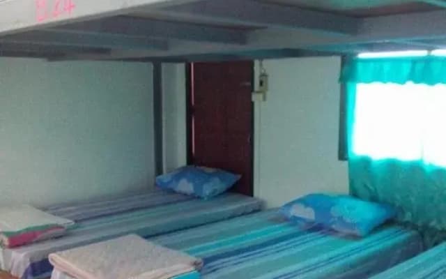 Bamboo Hostel - photo 5