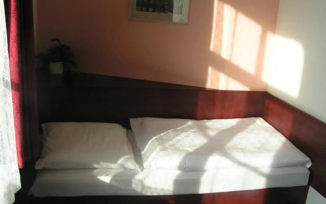 Hotel Jerabek - photo 4