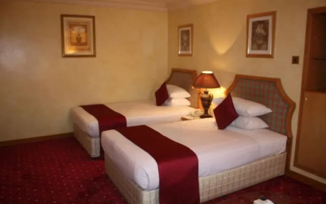 Qatar Palace Hotel - photo 3