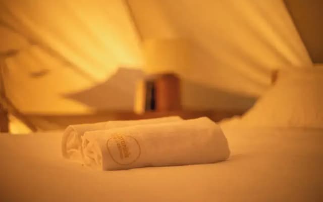 The Maverick Surf and Dive Boutique Hotel - photo 4