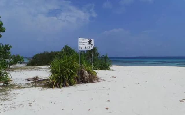 Naifaru Nafaa Inn - photo 3