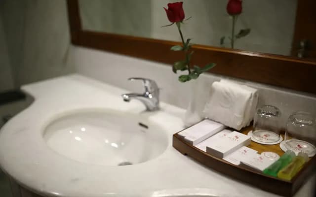Sunny Hotel - photo 5