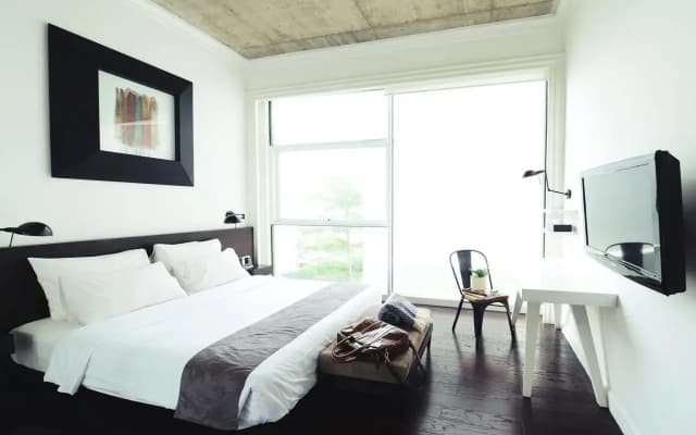 Morrissey Hotel - photo 5