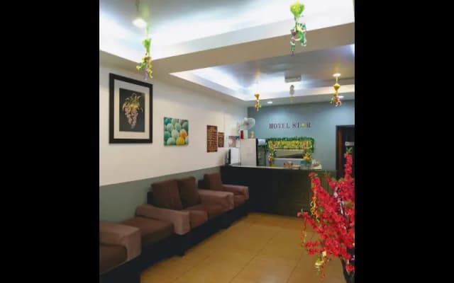Star Hotel - photo 4