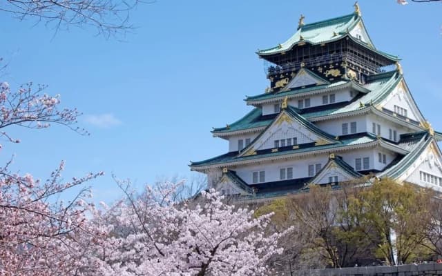 World Inn Taisho - photo 2