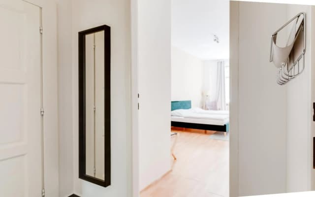 Riben House Prague - photo 4