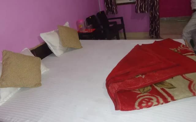 A.K Rajput Guesthouse - photo 5