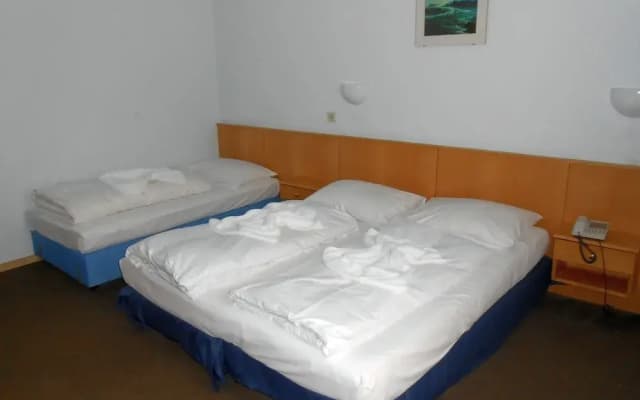 Hotel Pension Astra - photo 4
