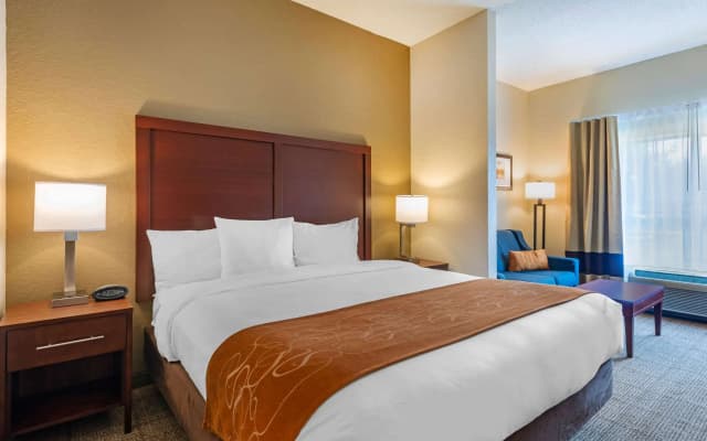 Comfort Suites Downtown - photo 3