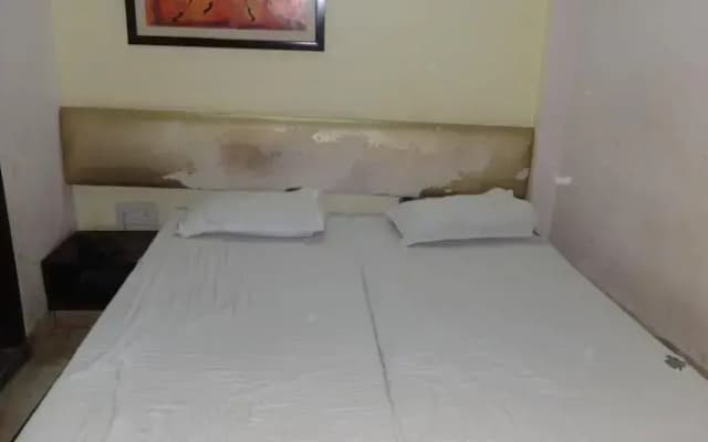 Priyanka Guest House - photo 3