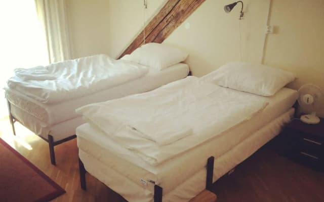 Hostel Mango - photo 3