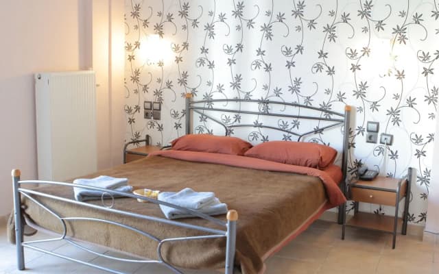 Dionysos Hotel Athens - photo 4