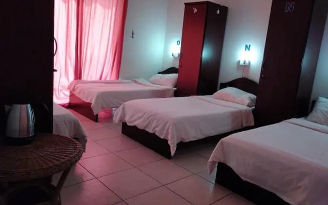 Q Hostel - photo 4